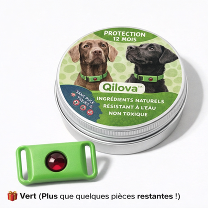 Médaillon Qilova™ – Protection naturelle 12 mois pour chiens