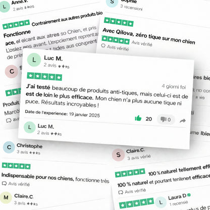 Médaillon Qilova™ – Protection naturelle 12 mois pour chiens